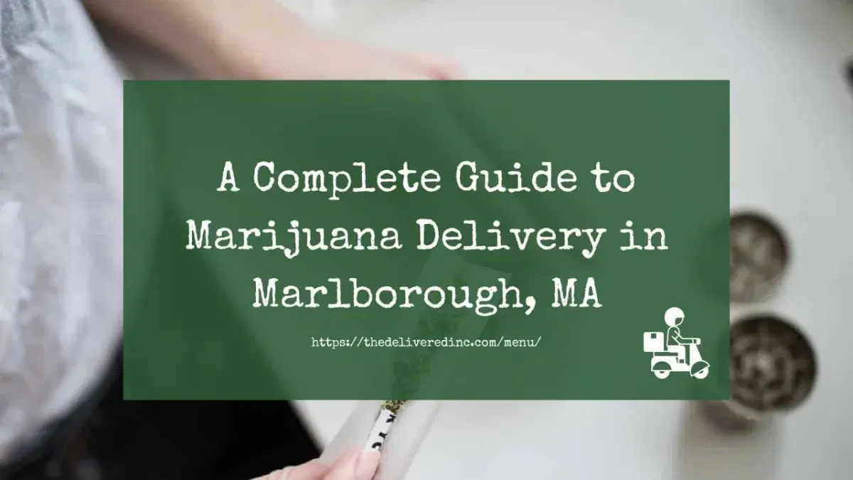 Title card reading 'A Complete Guide to Marijuana Delivery in Marlborough, MA' over a photo of hands rolling a joint beside two grinders