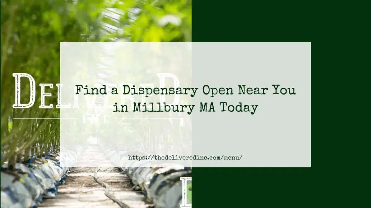 Find a Dispensary Open Near You in Millbury MA Today