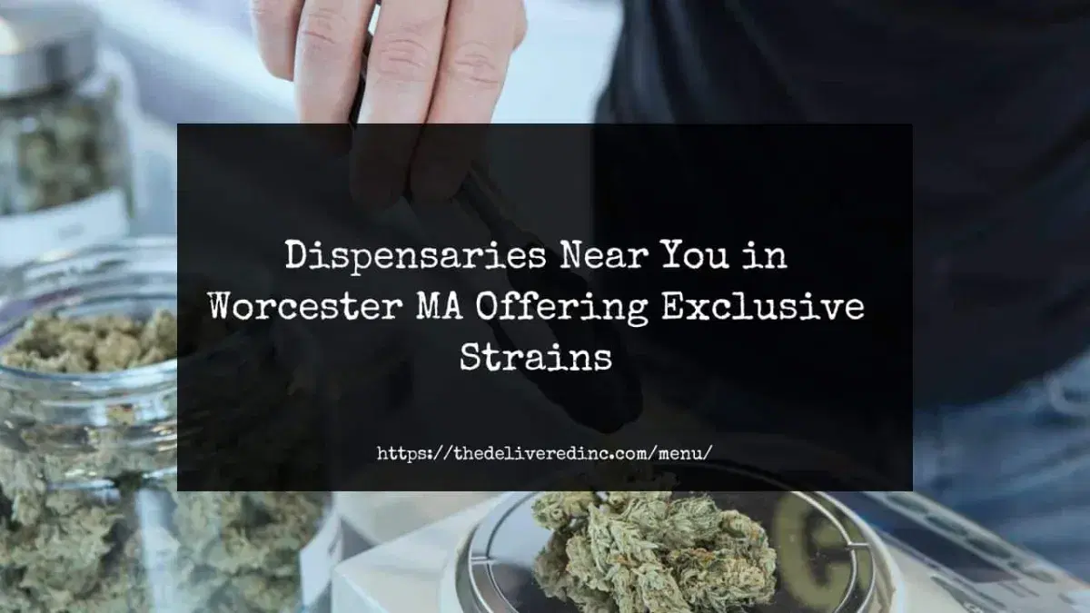 Dispensaries Near You in Worcester MA Offering Exclusive Strains