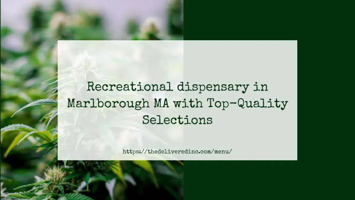 Recreational dispensary in Marlborough MA with Top-Quality Selections