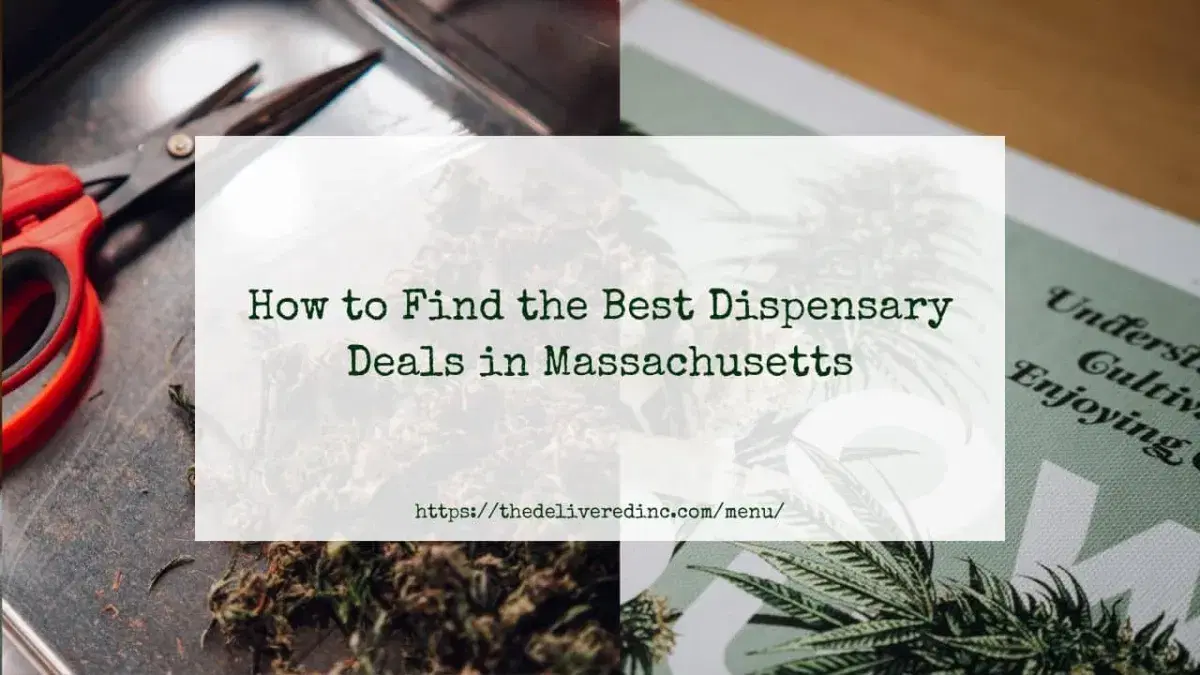 How to Find the Best Dispensary Deals in Massachusetts