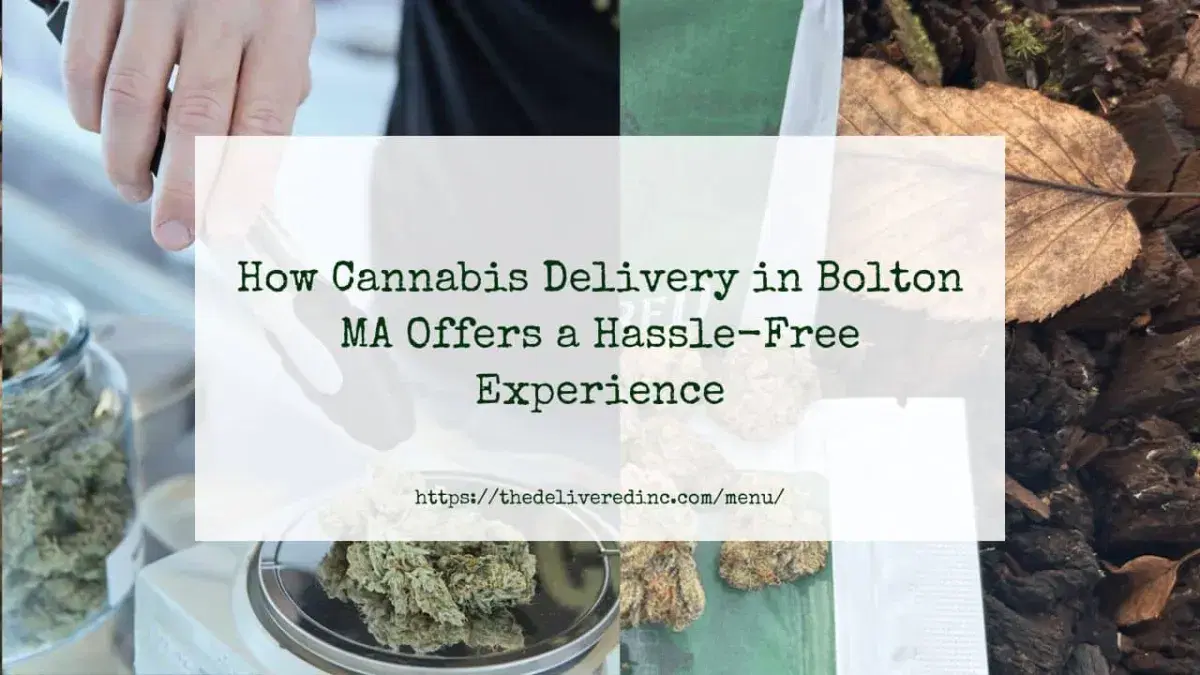 How Cannabis Delivery in Bolton MA Offers a Hassle-Free Experience