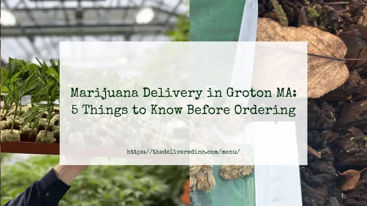 Marijuana Delivery in Groton MA: 5 Things to Know Before Ordering