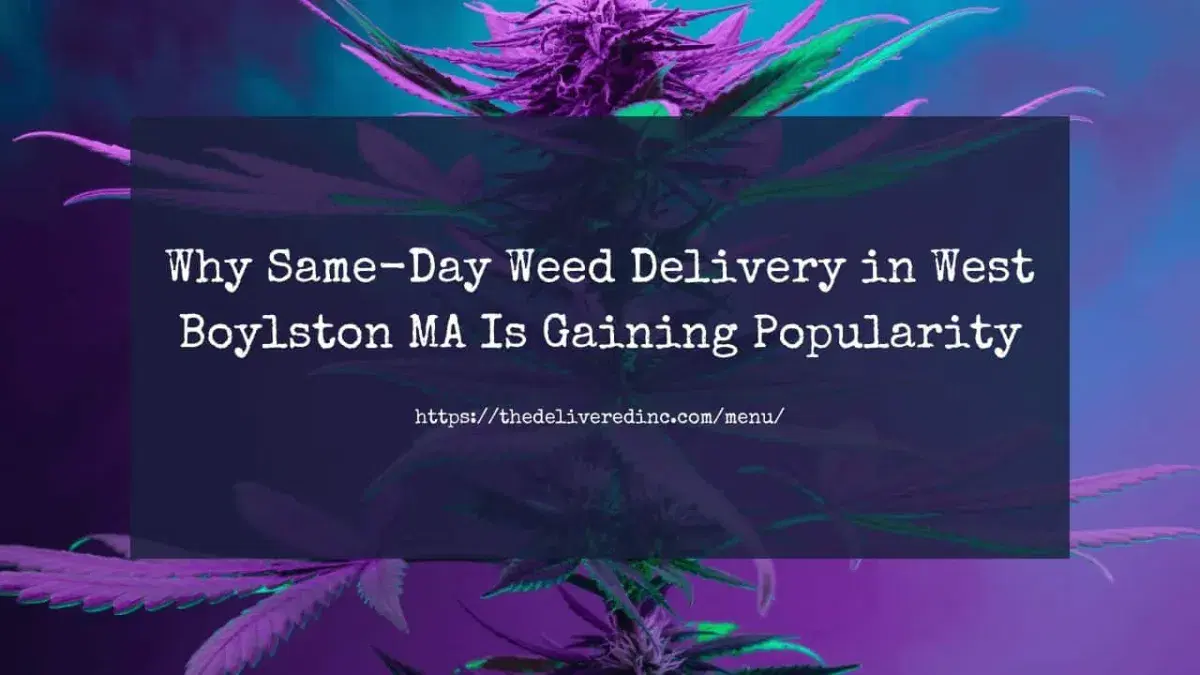 Title card reading 'Why Same-Day Weed Delivery in West Boylston MA Is Gaining Popularity' over a purple-tinted cannabis plant