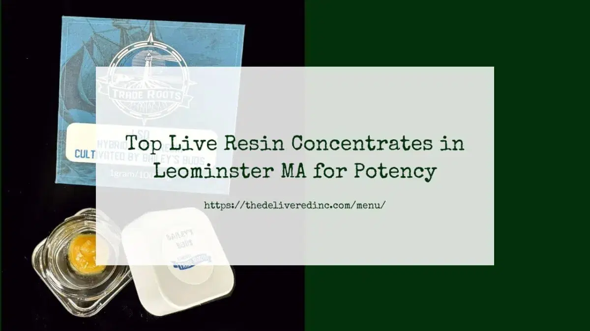 Top Live Resin Concentrates in Leominster MA for Potency