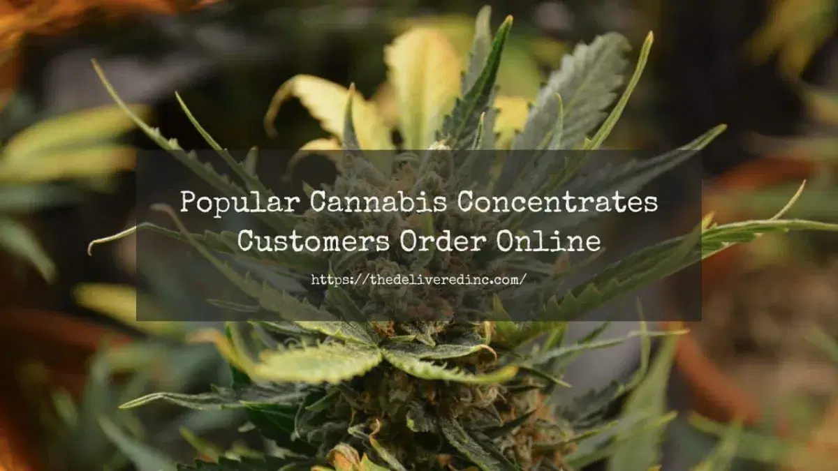 cannabis concentrates