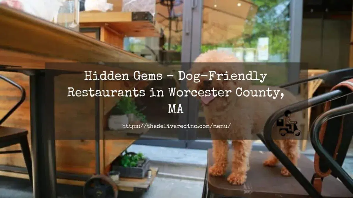 Title card reading 'Hidden Gems: Dog-Friendly Restaurants in Worcester County, MA' over a photo of a small dog on a restaurant patio