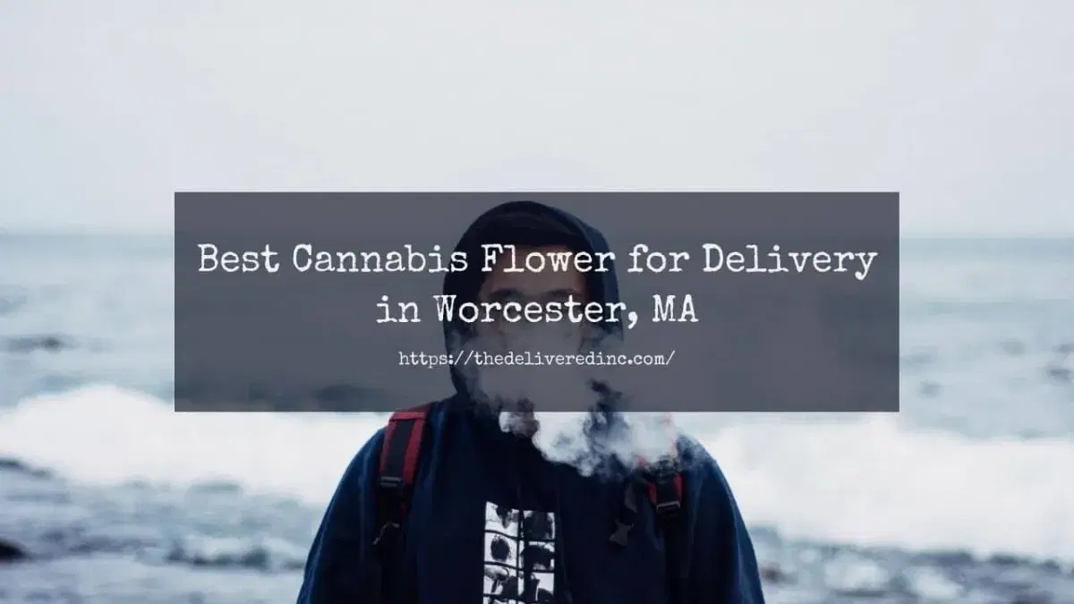 cannabis in worcester