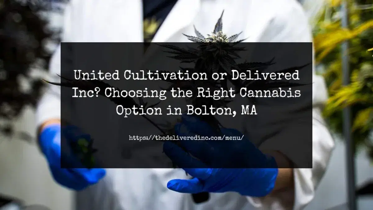 a gloved technician holding a cannabis plant
