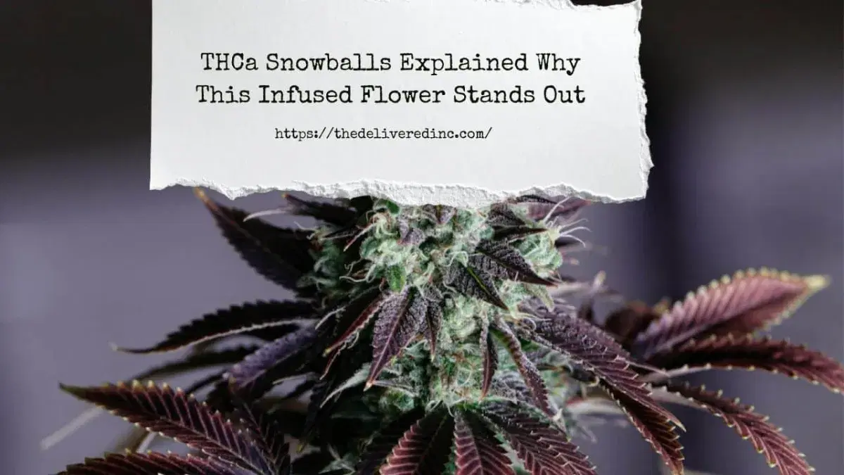 DCC snowballs