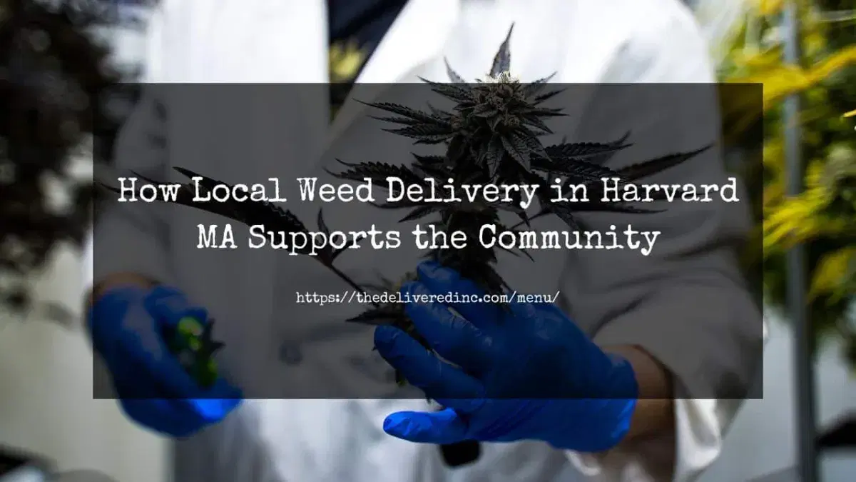 Title card reading 'How Local Weed Delivery in Harvard MA Supports the Community' over a photo of a gloved technician holding a cannabis plant