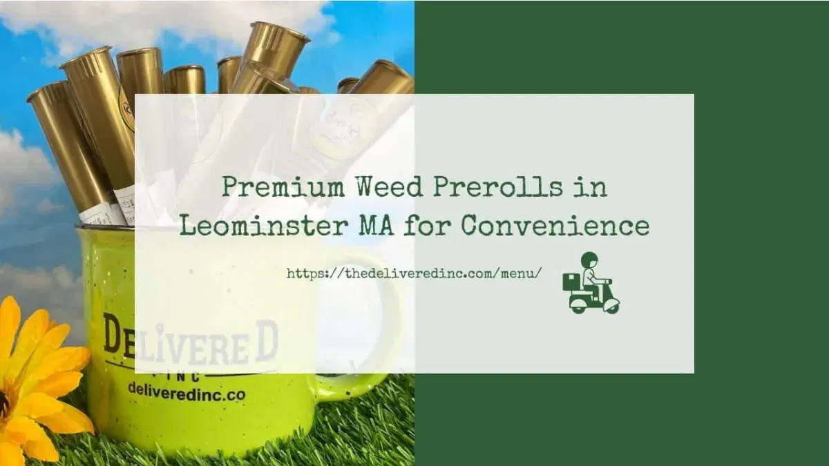 Title card reading 'Premium Weed Prerolls in Leominster MA for Convenience' beside a Delivered Inc mug filled with pre-roll tubes