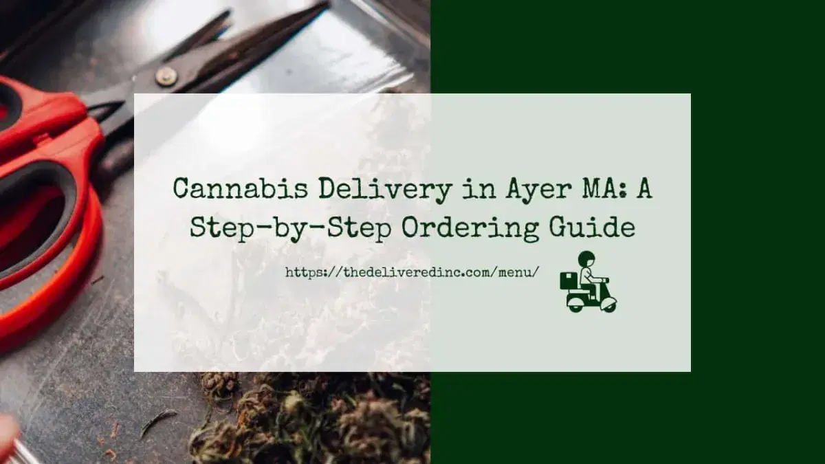 Title card reading 'Cannabis Delivery in Ayer MA: A Step-by-Step Ordering Guide' over a photo of red scissors and trimmed cannabis flower