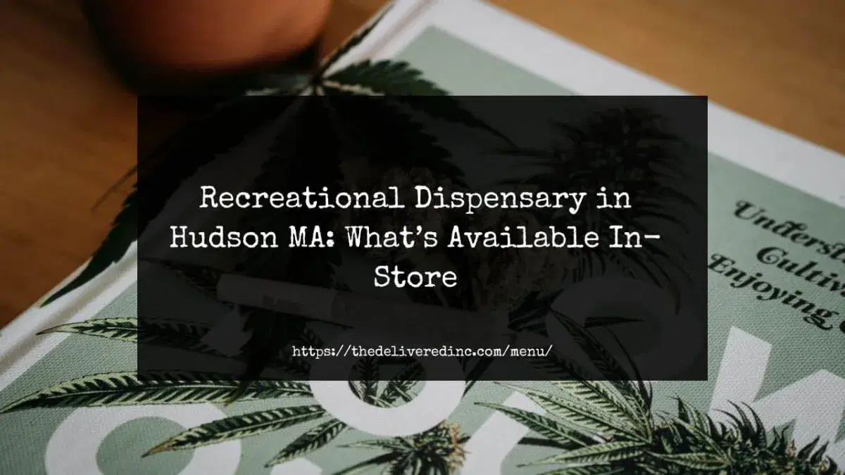 Recreational Dispensary in Hudson MA: What’s Available In-Store