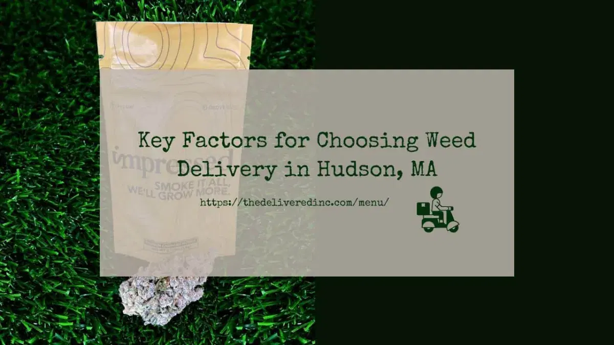Title card reading 'Key Factors for Choosing Weed Delivery in Hudson, MA' over an Impressed cannabis pouch and a bud on artificial grass
