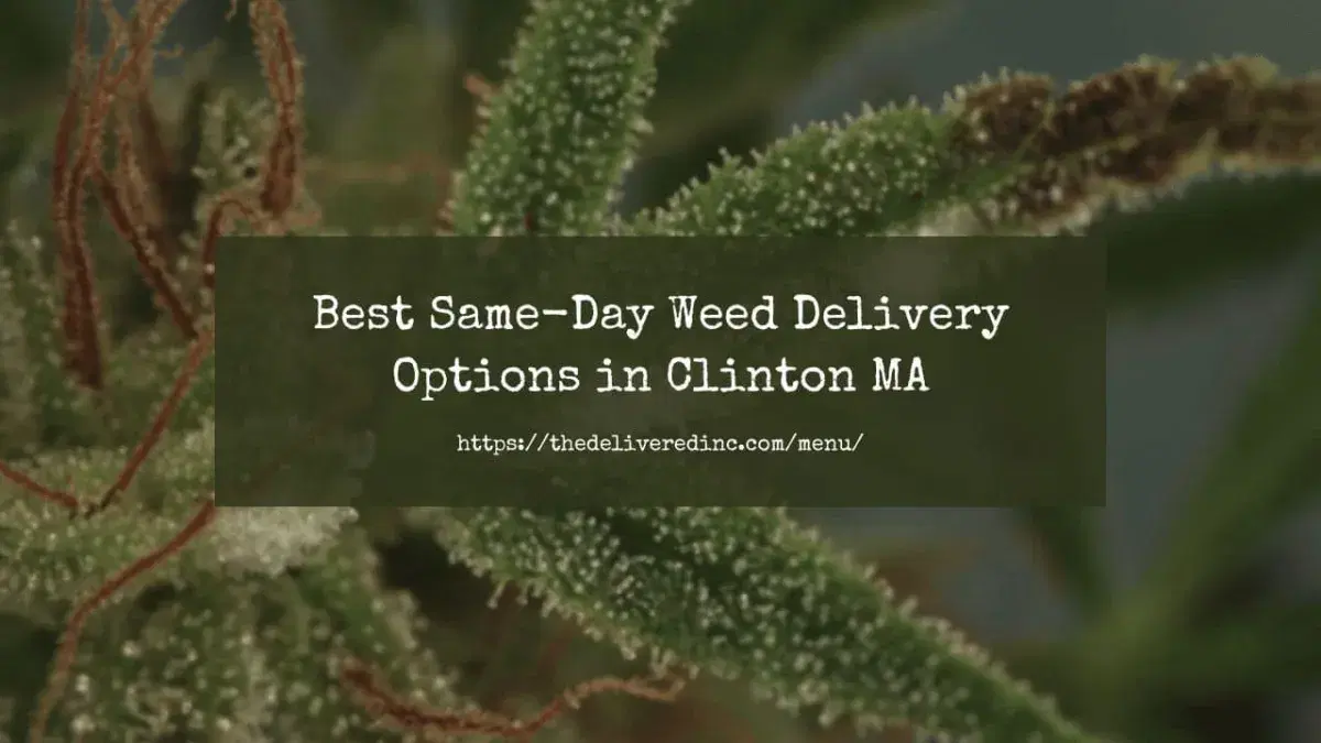 weed delivery
