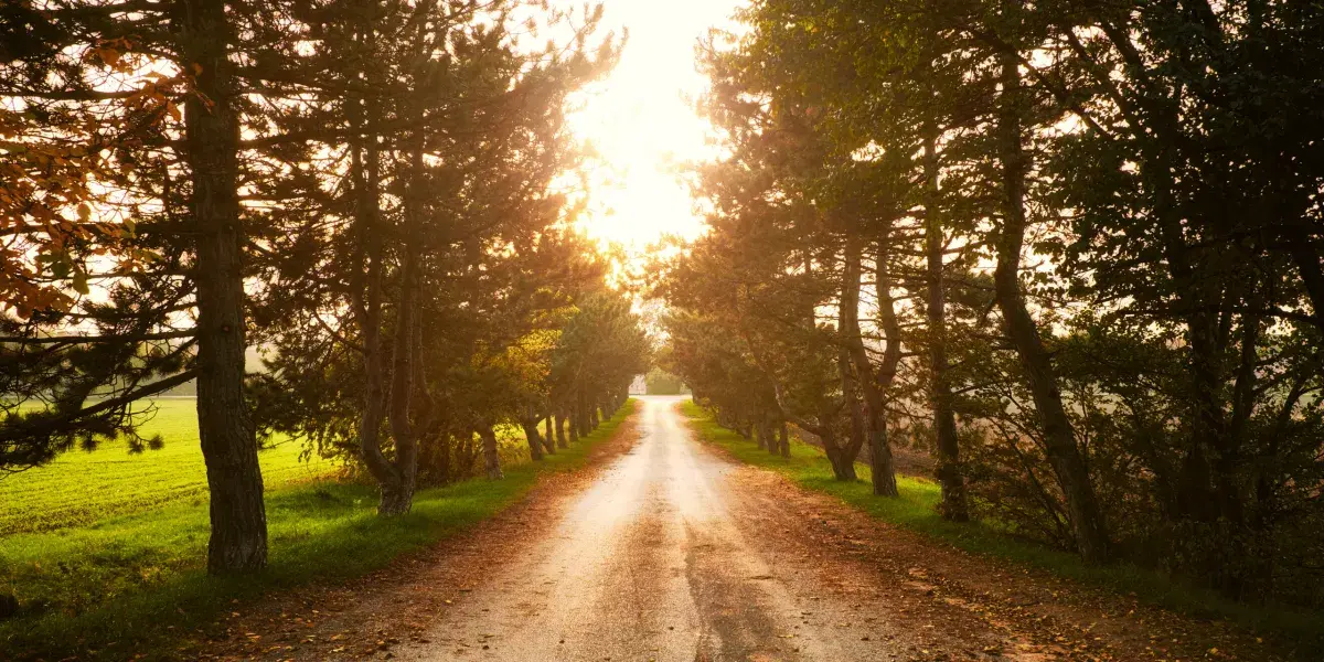 Delivered Backroads subscription program