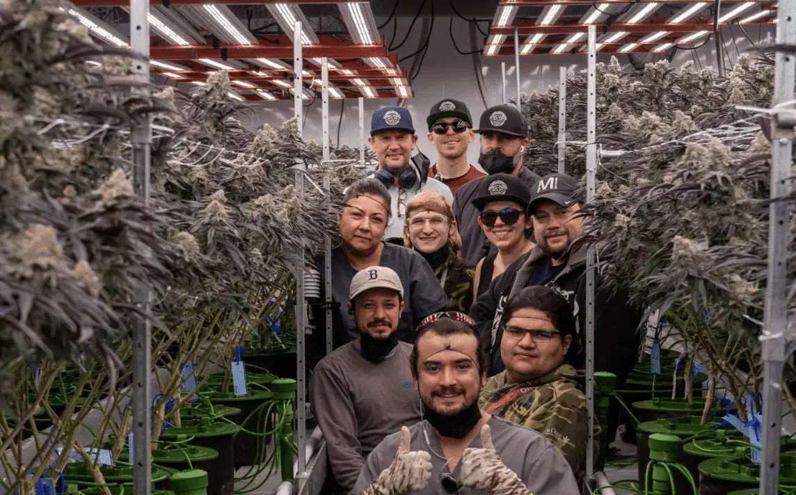 Fresh Connection Boston weed delivery Worcester MA