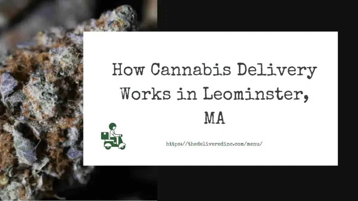 Title card reading 'How Cannabis Delivery Works in Leominster, MA' beside a close-up of frosty purple cannabis flower