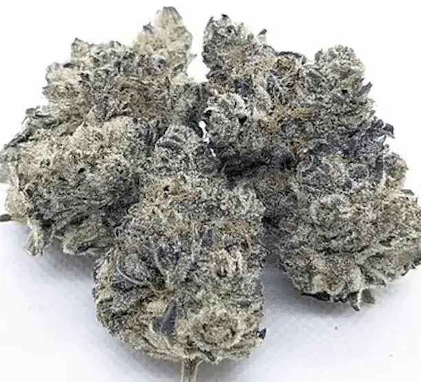 weed delivery worcester