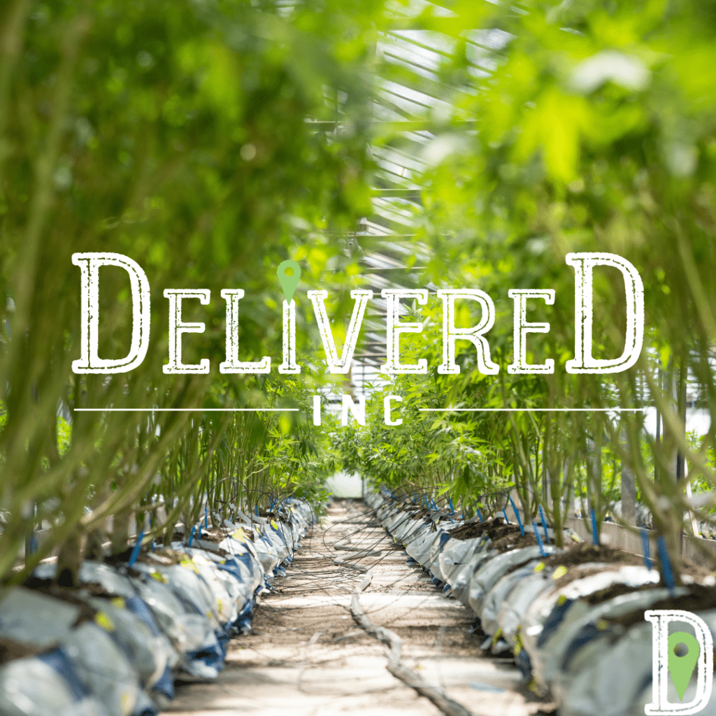 weed delivery worcester